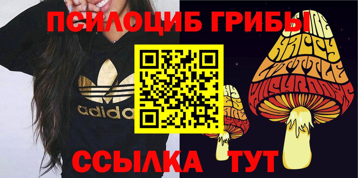 Псилоцибиновые грибы Psilocybine cubensis Десногорск