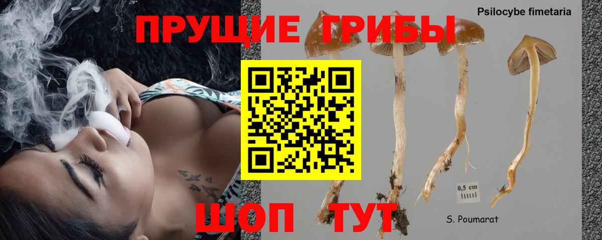 Галлюциногенные грибы GOLDEN TEACHER  Вход с VPN  Десногорск  Галлюциногенные грибы GOLDEN TEACHER 